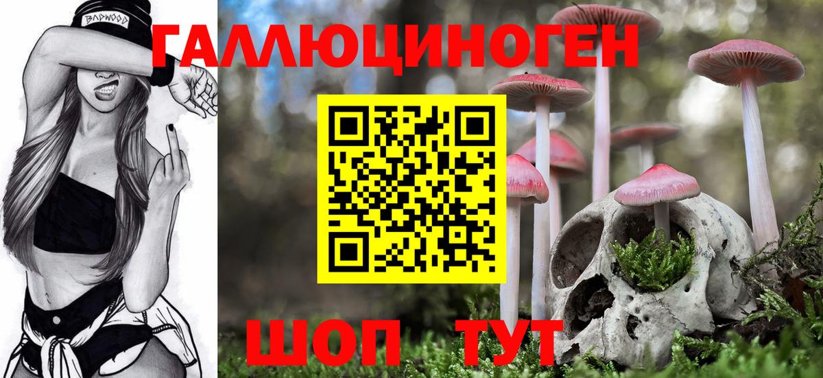 Галлюциногенные грибы Magic Shrooms  Вход с VPN  Улан-Удэ 